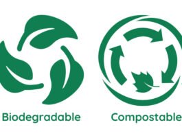 biodegradable and compostable